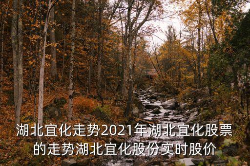 湖北宜化走勢(shì)2021年湖北宜化股票的走勢(shì)湖北宜化股份實(shí)時(shí)股價(jià)