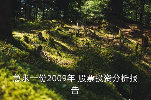 急求一份2009年 股票投資分析報告