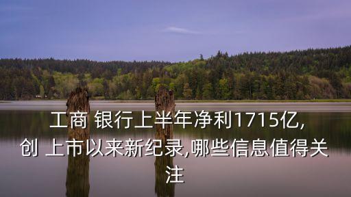  工商 銀行上半年凈利1715億,創(chuàng) 上市以來新紀錄,哪些信息值得關注