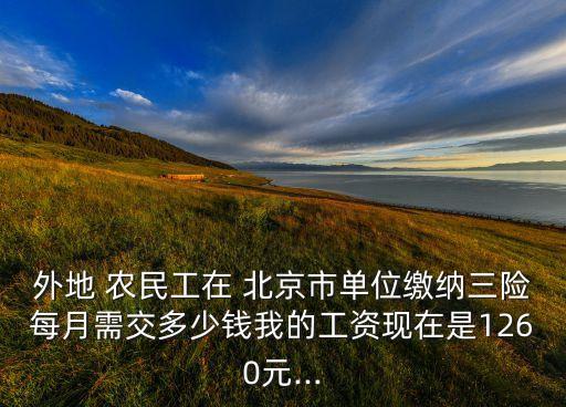 外地 農民工在 北京市單位繳納三險每月需交多少錢我的工資現(xiàn)在是1260元...