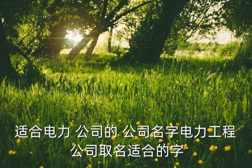 適合電力 公司的 公司名字電力工程 公司取名適合的字