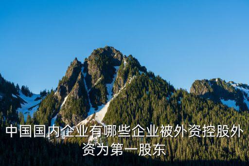 中國國內(nèi)企業(yè)有哪些企業(yè)被外資控股外資為第一股東