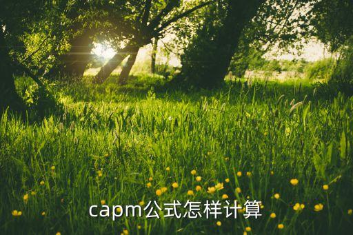 capm公式怎樣計(jì)算