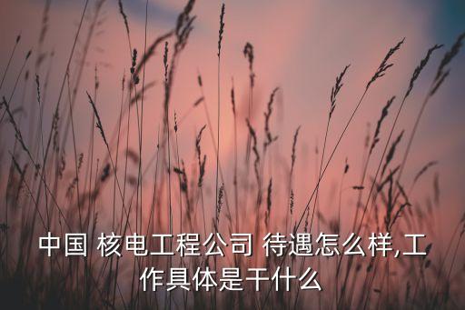 中國核電中層領(lǐng)導(dǎo)待遇