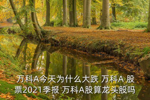  萬(wàn)科A今天為什么大跌 萬(wàn)科A 股票2021季報(bào) 萬(wàn)科A股算龍頭股嗎