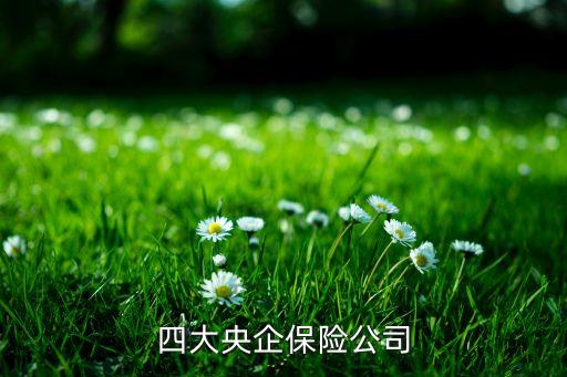 中國大地保險(xiǎn)的業(yè)務(wù)范圍