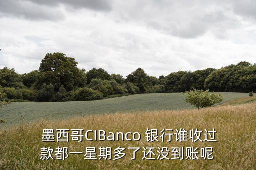  墨西哥CIBanco 銀行誰收過款都一星期多了還沒到賬呢