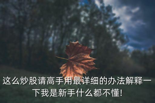 這么炒股請高手用最詳細(xì)的辦法解釋一下我是新手什么都不懂!