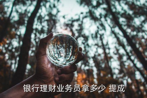 銀行存款提成萬(wàn)分之六,去銀行存款業(yè)務(wù)員有提成嗎