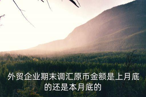  外貿企業(yè)期末調匯原幣金額是上月底的還是本月底的