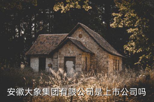 安徽大象集團(tuán)有限公司是上市公司嗎