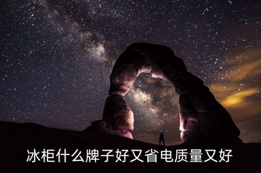 星星家電集團(tuán)年報(bào),海信家電集團(tuán)年報(bào)