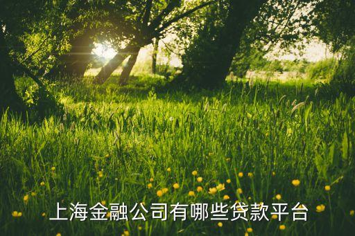  上海金融公司有哪些貸款平臺(tái)