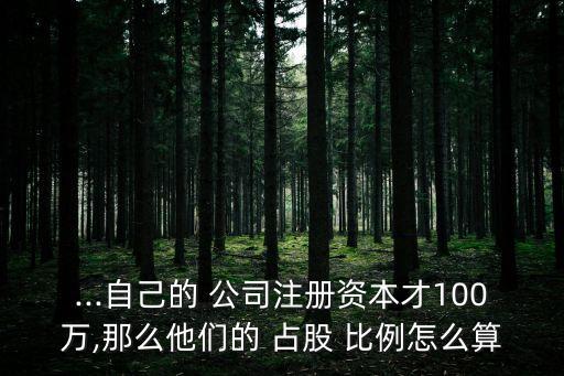 ...自己的 公司注冊(cè)資本才100萬,那么他們的 占股 比例怎么算