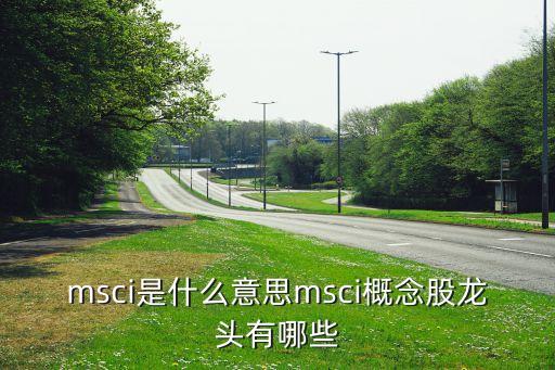 msci是什么意思msci概念股龍頭有哪些