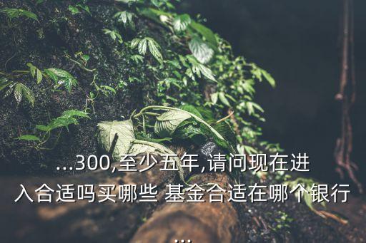 ...300,至少五年,請(qǐng)問(wèn)現(xiàn)在進(jìn)入合適嗎買哪些 基金合適在哪個(gè)銀行...