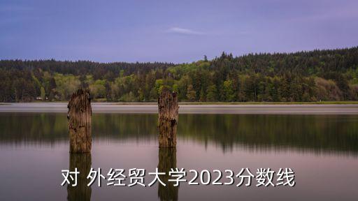 對 外經貿大學2023分數線