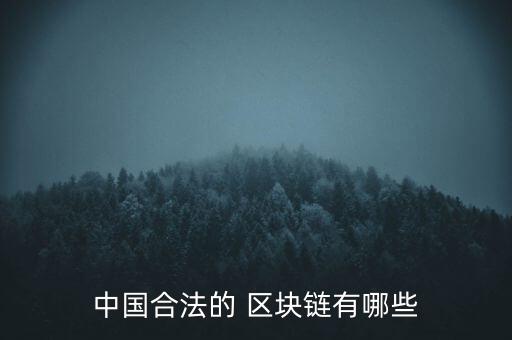 中國合法的 區(qū)塊鏈有哪些