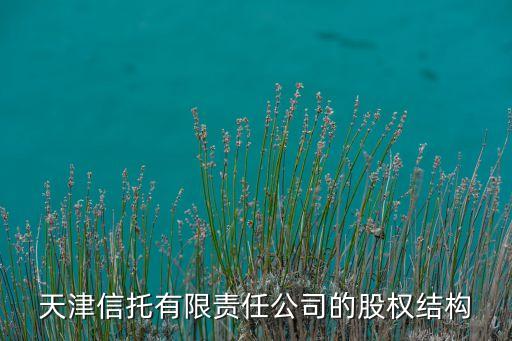 海泰控股集團(tuán)國企改革,天津海泰控股集團(tuán)有限公司總經(jīng)理