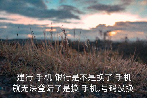  建行 手機 銀行是不是換了 手機就無法登陸了是換 手機,號碼沒換