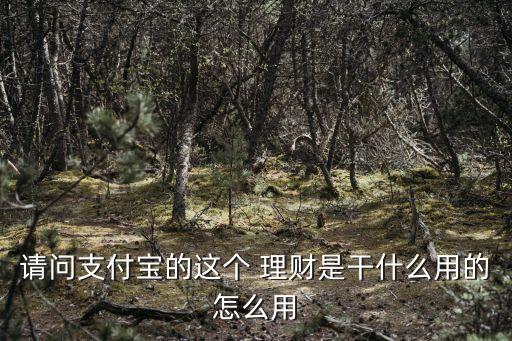 余額寶投資國債理財,理財專家建議,在投資國債之外