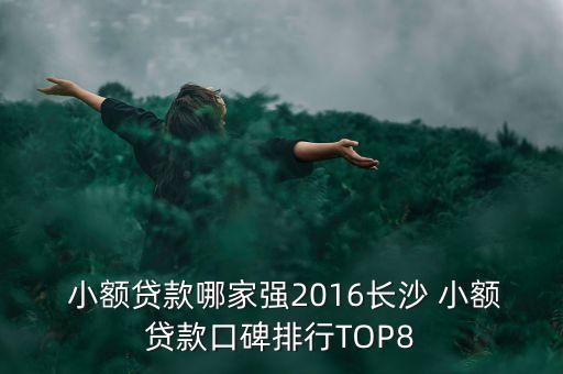  小額貸款哪家強2016長沙 小額貸款口碑排行TOP8