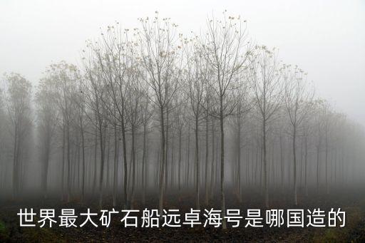 世界最大礦石船遠(yuǎn)卓海號(hào)是哪國(guó)造的