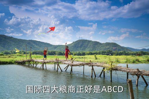 國(guó)際四大糧商正好是ABCD