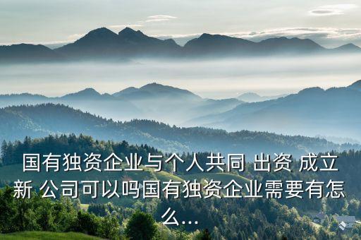 國(guó)有獨(dú)資企業(yè)與個(gè)人共同 出資 成立新 公司可以嗎國(guó)有獨(dú)資企業(yè)需要有怎么...