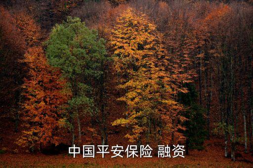 保險(xiǎn)公司融資