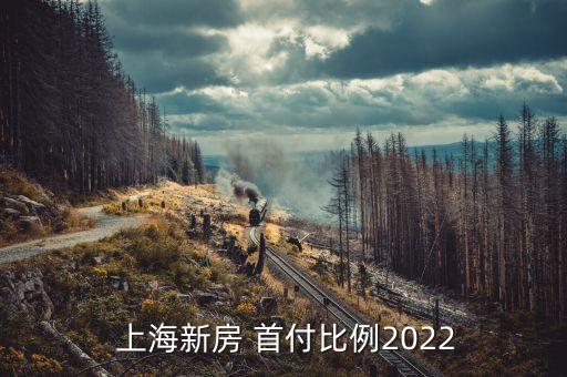  上海新房 首付比例2022