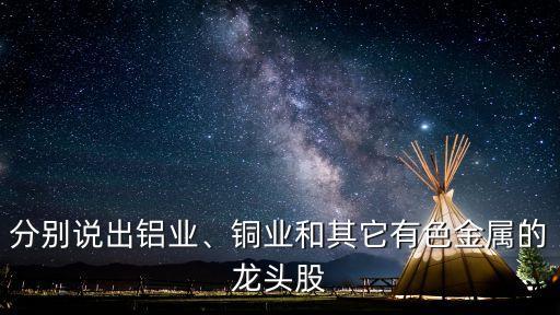 分別說出鋁業(yè)、銅業(yè)和其它有色金屬的龍頭股