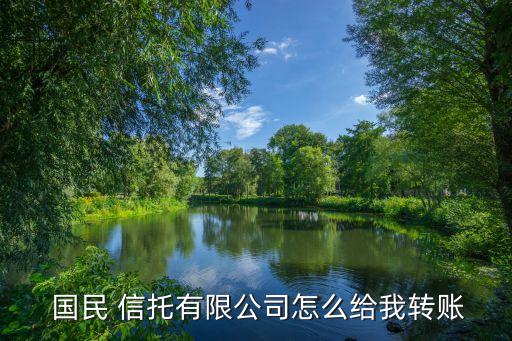  國民 信托有限公司怎么給我轉(zhuǎn)賬