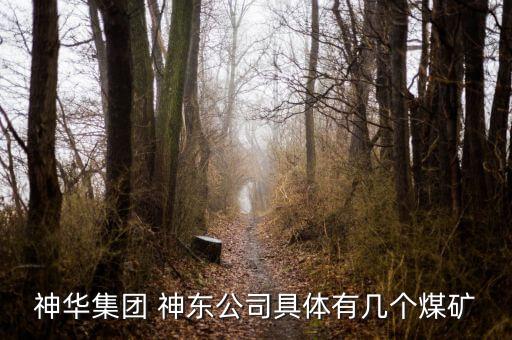 神華集團(tuán) 神東公司具體有幾個煤礦