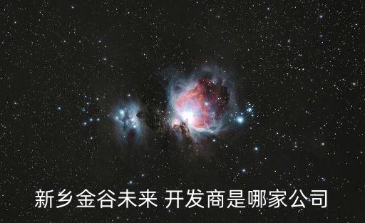 新鄉(xiāng)金谷未來(lái) 開發(fā)商是哪家公司