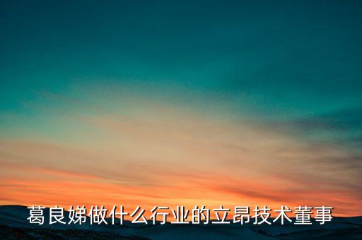 葛良娣做什么行業(yè)的立昂技術(shù)董事