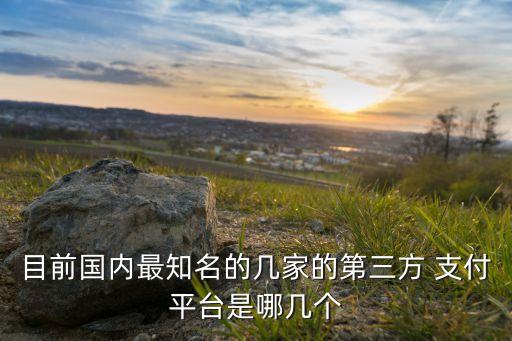 目前國(guó)內(nèi)最知名的幾家的第三方 支付平臺(tái)是哪幾個(gè)