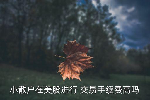 小散戶在美股進(jìn)行 交易手續(xù)費高嗎