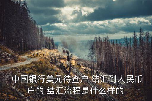  中國(guó)銀行美元待查戶 結(jié)匯到人民幣戶的 結(jié)匯流程是什么樣的