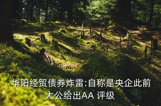  華陽經(jīng)貿(mào)債券炸雷:自稱是央企此前大公給出AA 評級