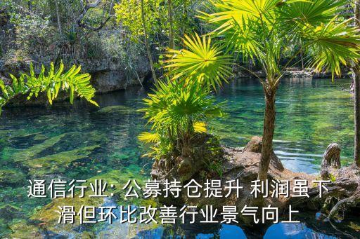 通信行業(yè): 公募持倉(cāng)提升 利潤(rùn)雖下滑但環(huán)比改善行業(yè)景氣向上