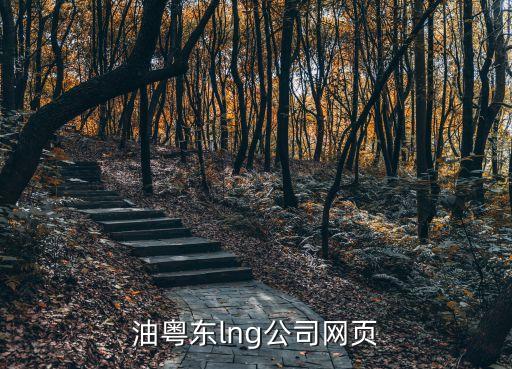 中海油粵東lng公司網(wǎng)頁