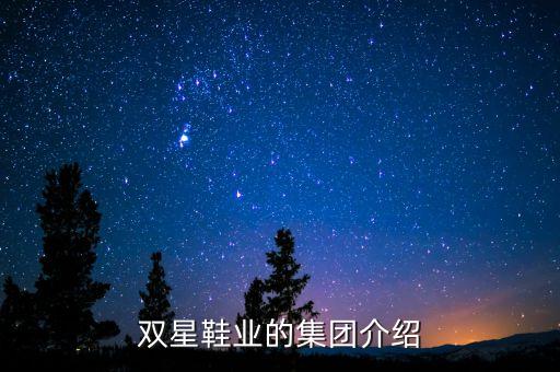 北京天星資本股份有限公司招聘,河南天星教育傳媒股份有限公司招聘