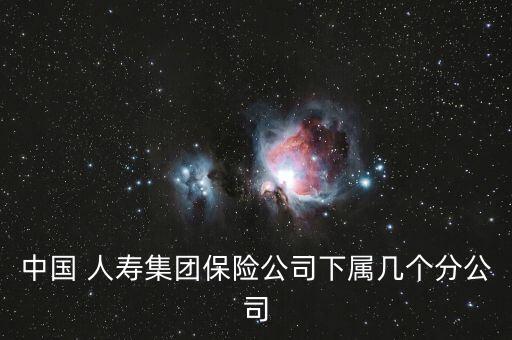 中國 人壽集團(tuán)保險公司下屬幾個分公司