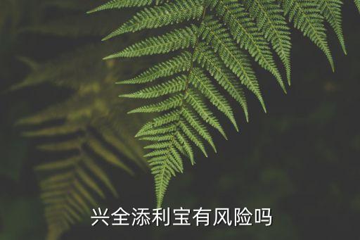  興全添利寶有風(fēng)險嗎