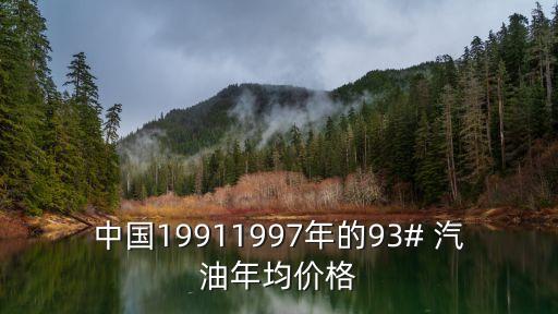 中國(guó)19911997年的93# 汽油年均價(jià)格