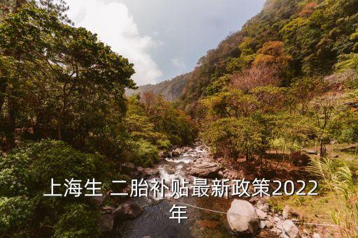  上海生 二胎補(bǔ)貼最新政策2022年