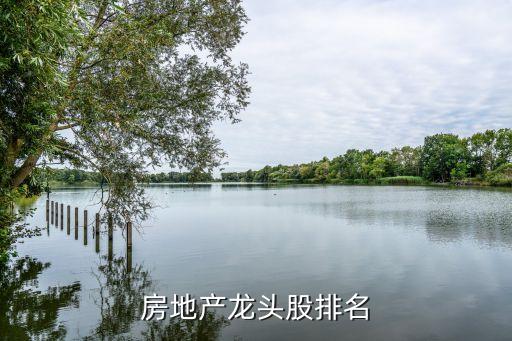 房地產(chǎn)龍頭股排名