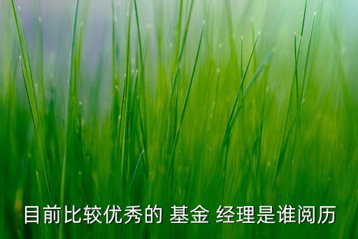 目前比較優(yōu)秀的 基金 經(jīng)理是誰閱歷