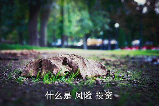 什么是 風(fēng)險 投資